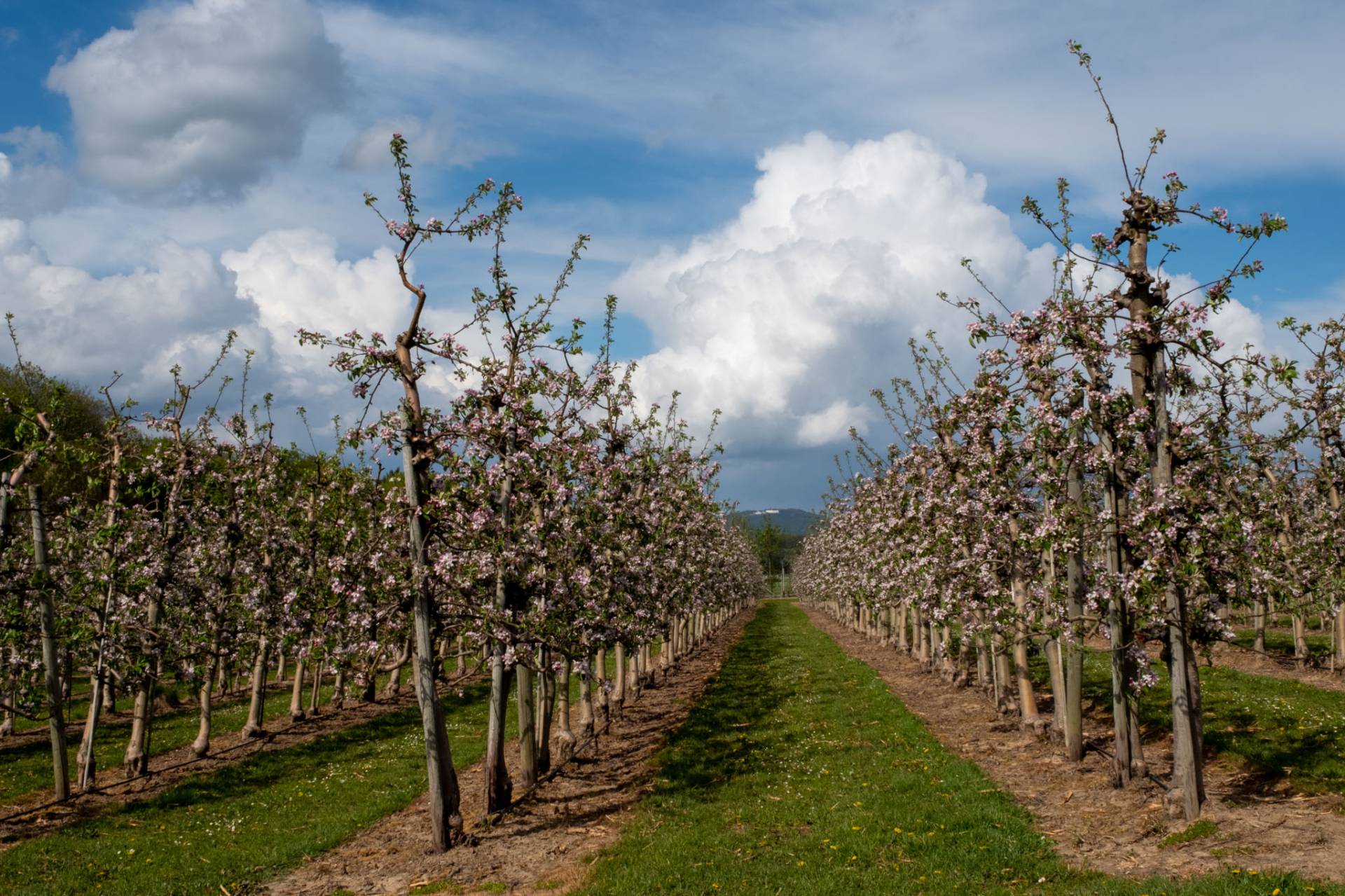 Roman Canal walking trail: In the footsteps of ancient engineers - Landidyll Hotel Weidenbrück