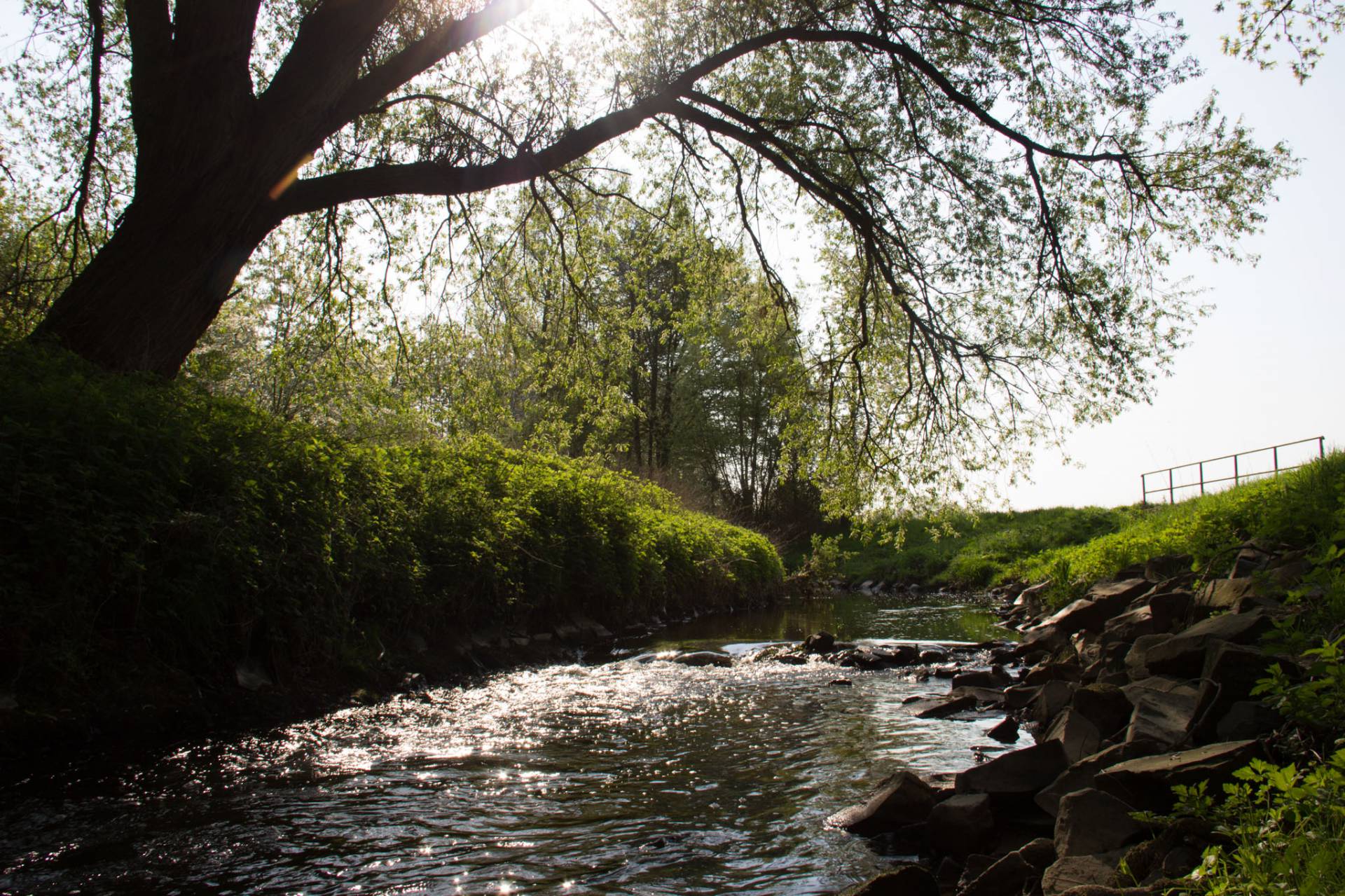 Walking holiday in the Eifel: Where the stars shine bright - Landidyll Hotel Weidenbrück
