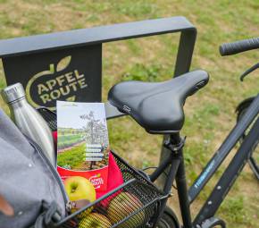 Aktiv im Rheintal - Biken entlang der Apfelroute
