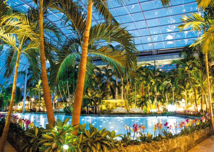 Palmenparadies in der Therme Euskirchen im Swisttal