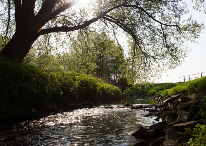 Sommer am Fluss - Rheinland erleben